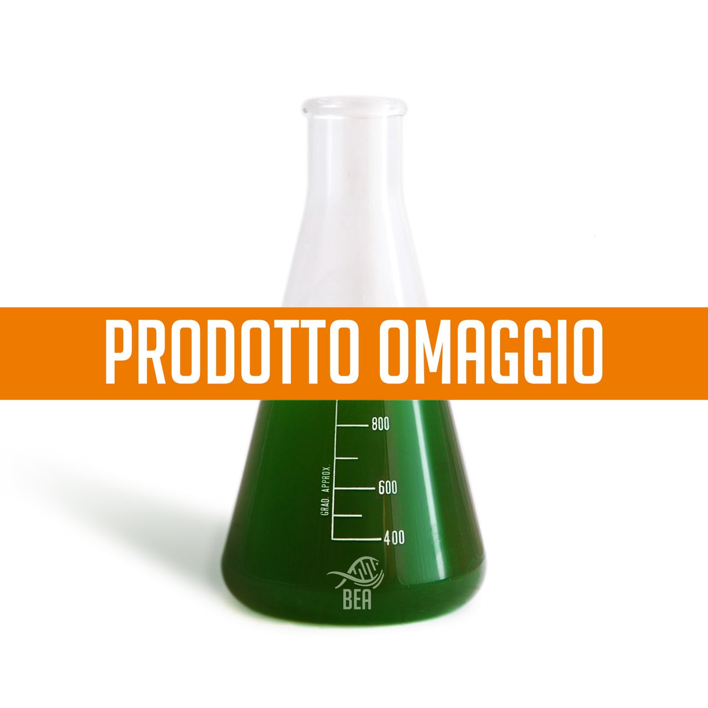 Bea Green PRO - OMAGGIO