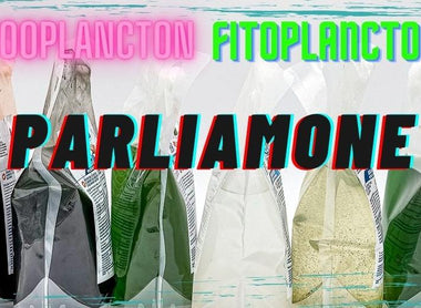 Zooplancton e Fitoplancton: Analizziamo i prodotti BEA by DaniReef
