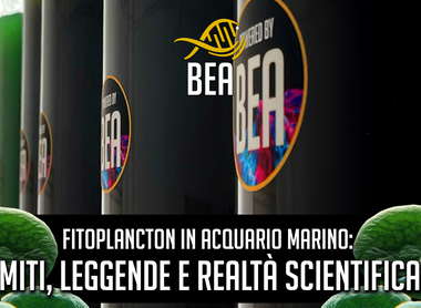Fitoplancton in acquario marino: tra miti, leggende e realtà scientifica.