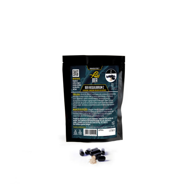BEA Aequilibrium Z